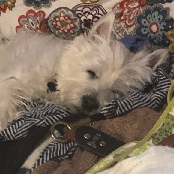 Meet your Posher, Lynn - Picture 4 of 4